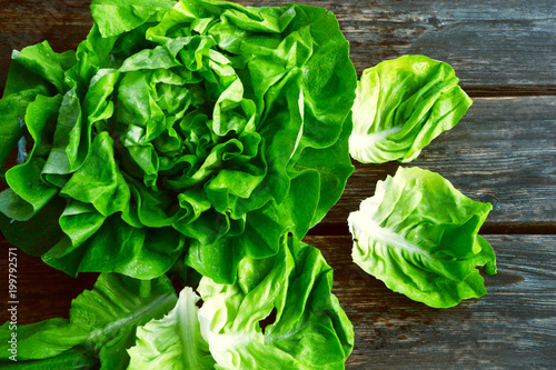 colorful and fresh of Butterhead lettuce with shadow on wooden background
