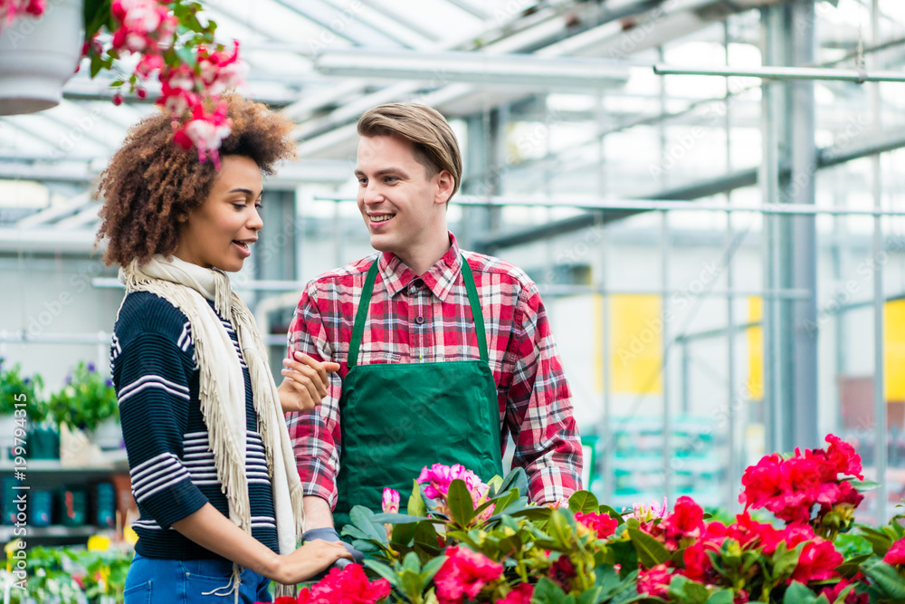 Beautiful Latin American young woman talking with his friend at his workplace in a modern flower shop with various ornamental houseplants for sale 