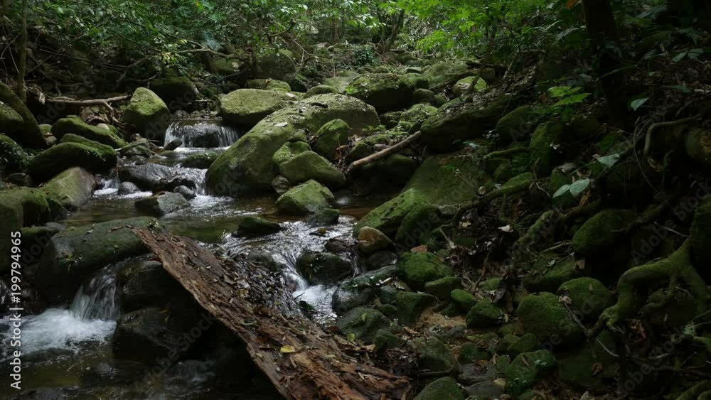 Stones and rocks covered by moss along water stream Stones and rocks covered by moss along water stream