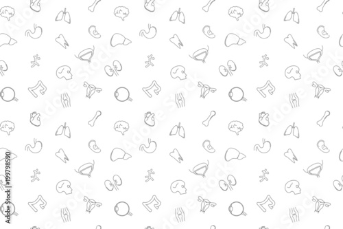 Vector anatomy pattern. Anatomy seamless background