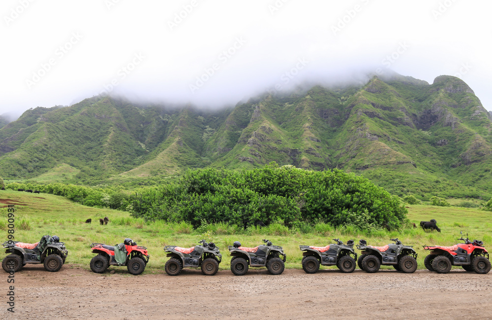 Fototapeta premium ATVs in a Row