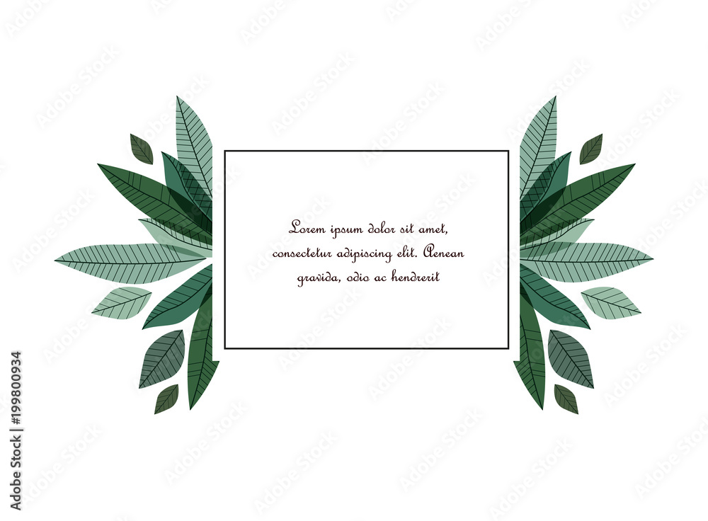 Vector illustration of decoration leaves. Nature background with a text frame