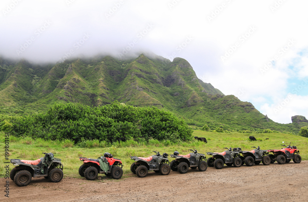 Fototapeta premium ATVs in a Row