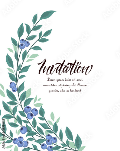 Vector illustration of blueberries fruit and leaves on a white background