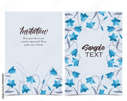 Vector illustration blue bell-shaped bloom, summer flower Campanula. Set of greeting cards