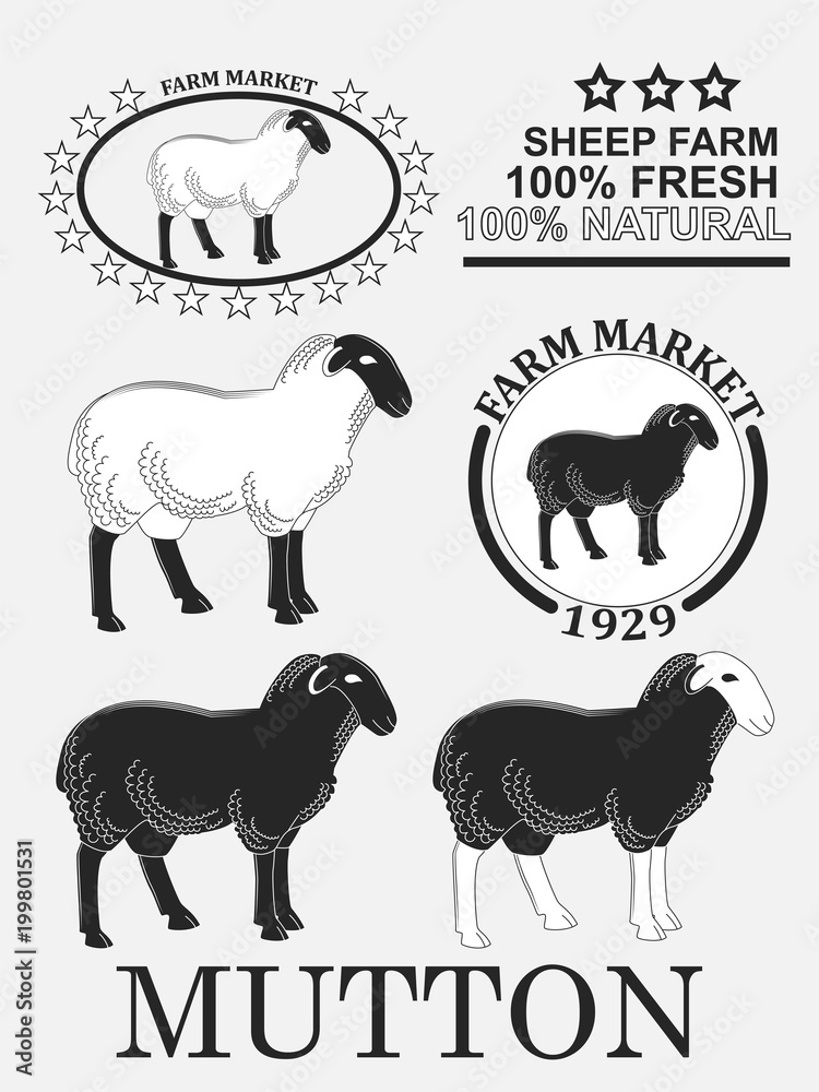 Obraz premium Set of premium lamb labels, mutton, badges and design elements.