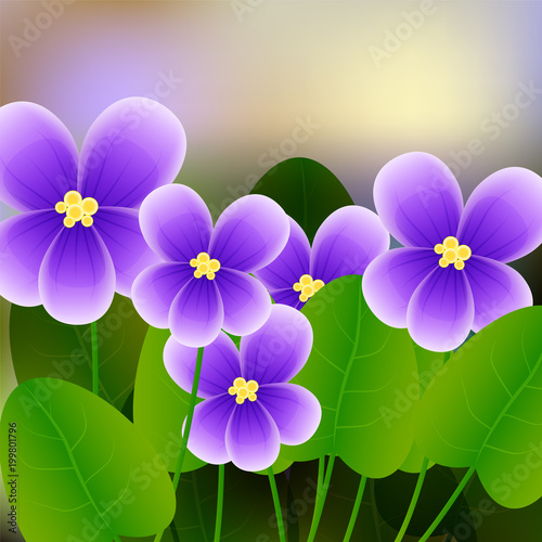 Spring background with blossom brunch of violet flowers.