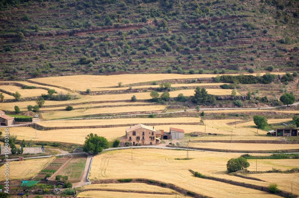 Obraz premium Sunlit large valley with yellow fields and small houses. The valley is surrounded by green mountains. View from Cardona Castle. Summer. Catalonia, Spain.