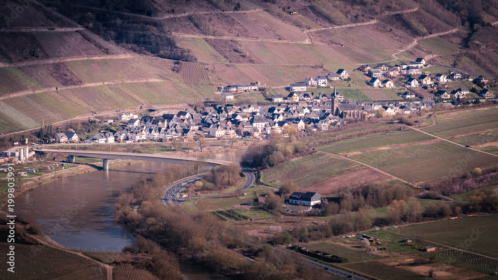 Obraz premium village at the vineyards 2