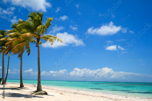 Fototapeta Naklejka Na Ścianę i Meble -  Palm Trees and Turquoise water on Caribbean Island