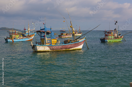 Fishing Boats in Weligama, Sri Lanka. Sri Lankan Fishing. Sea view from the Port.