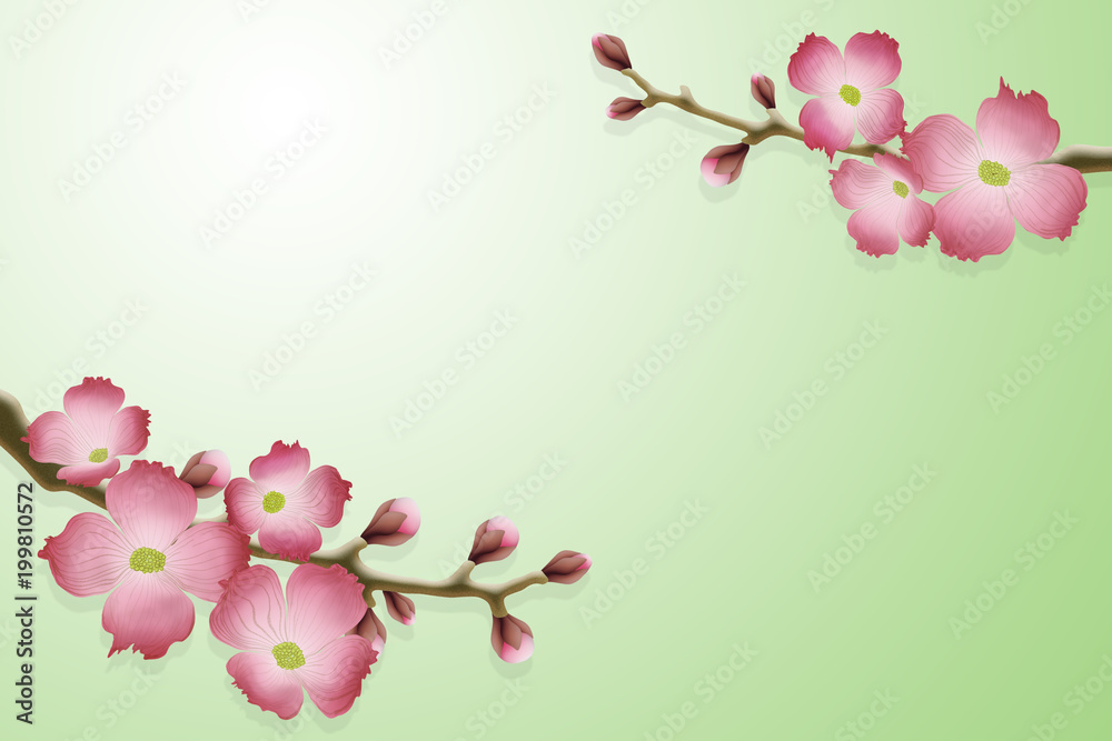 pink sakura flowers on a branch, on a green background, illustration