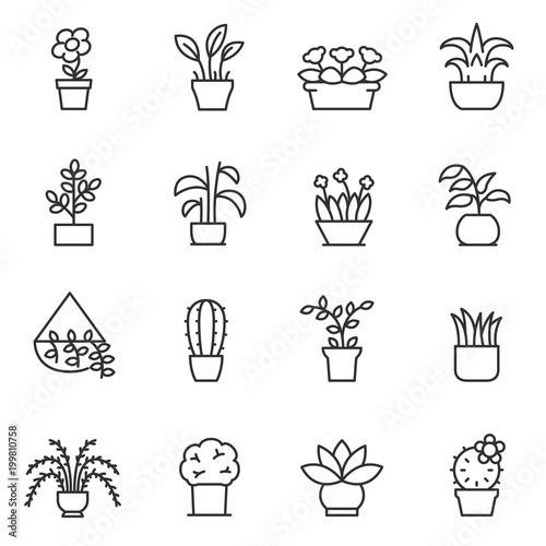 Fotografia House plants icon set
