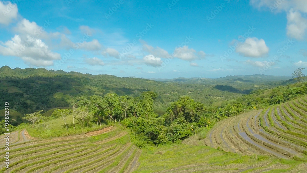 Rice Field Terrace Aerial Shot. Philippines.
