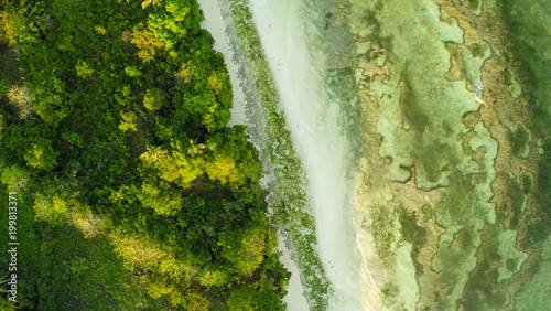 Fototapeta Naklejka Na Ścianę i Meble -  Aerial view of a great barrier reef. Philippines.