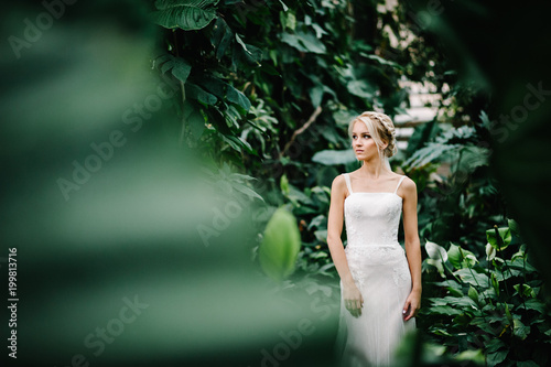 Wallpaper Mural Portrait attractive blonde bride standing in a wedding dress on the background of greenery. Woman stand in the Botanical green garden full of greenery. Wedding ceremony. Torontodigital.ca