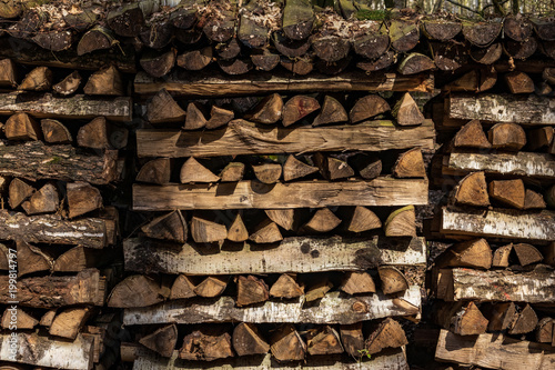 wood piles properly stacked in the forest