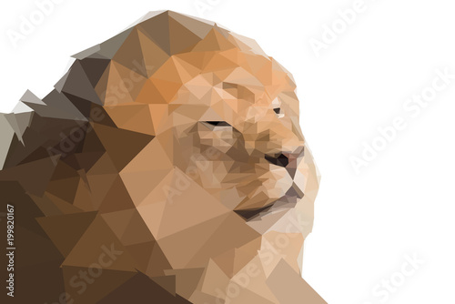 Low polygon lion portrait