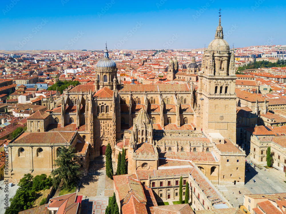 Obraz premium Salamanca Cathedral in Salamanca, Spain