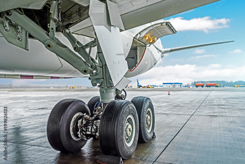 Naklejka premium Wheels rubber tire rear landing gear racks airplane aircraft, under wing view.