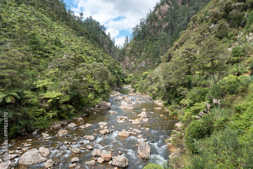 Fluss Neuseeland 