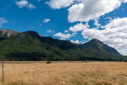 Steppe vor Berglandschaft Neuseeland
