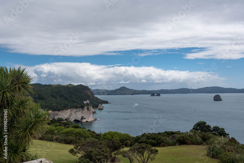 Felsküste am Meer Neuseeland