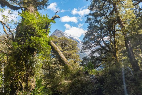 Berglandschaft Neuseeland