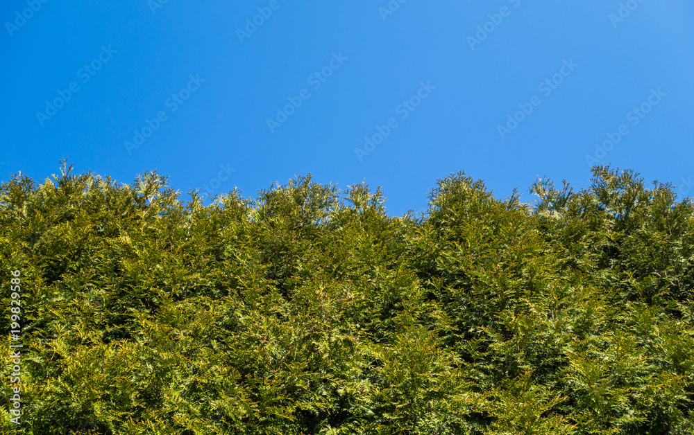 Together we will certainly reach the sky 2 Together we will certainly reach the sky 2