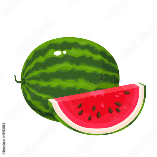 Bright vector illustration of juice watermelon isolated on white background.