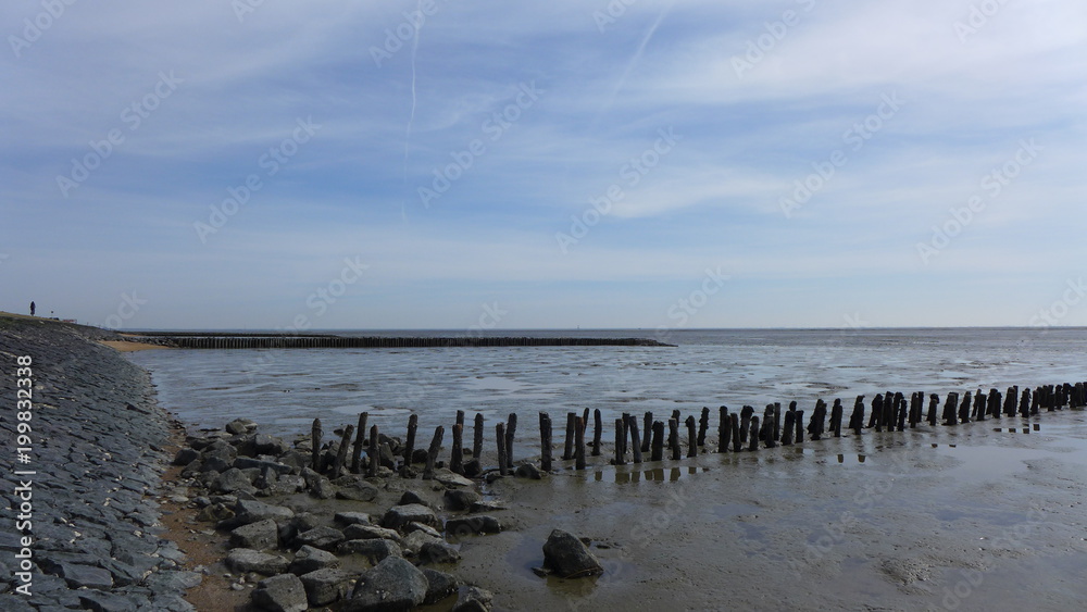 Naklejka premium Bunen im Wattenmeer bei Wilhelmshaven