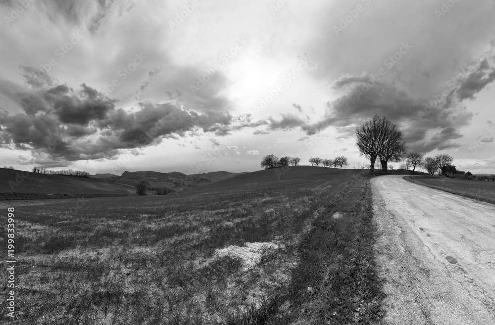 Black and white countryside landscape, road between fields and cloudy sky