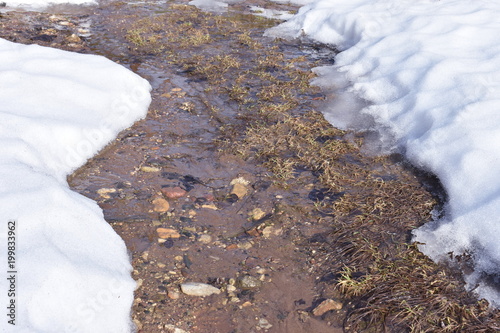 Spring, melting snow, a trickle running through pebbles photo