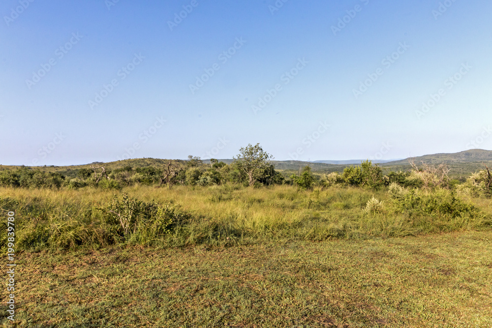 Rural Landscape with  Hills and Valleys Blue Sky