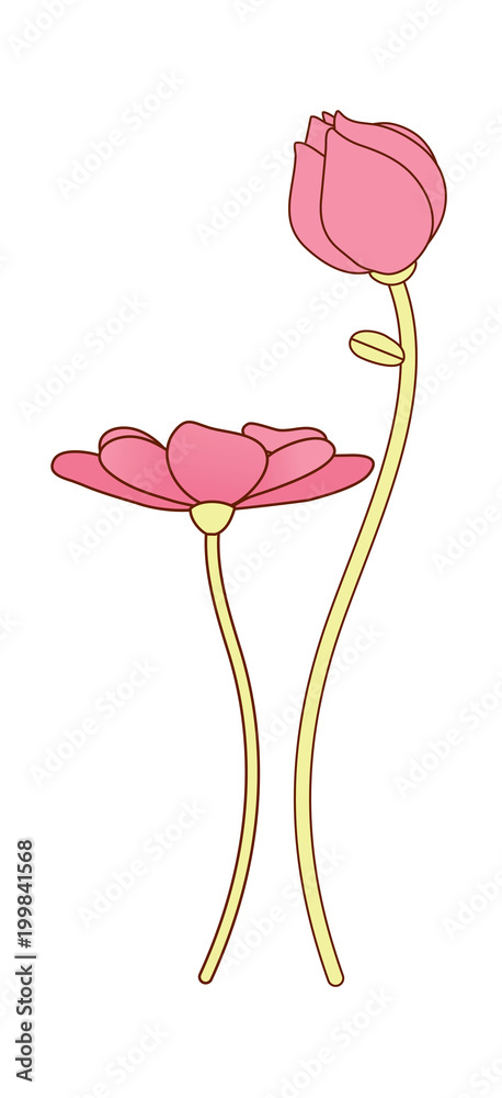 Fototapeta premium vector icon