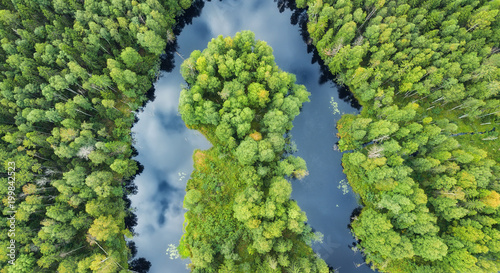 Aerial view on the forest and river. Beautiful natural landscape at the summe...