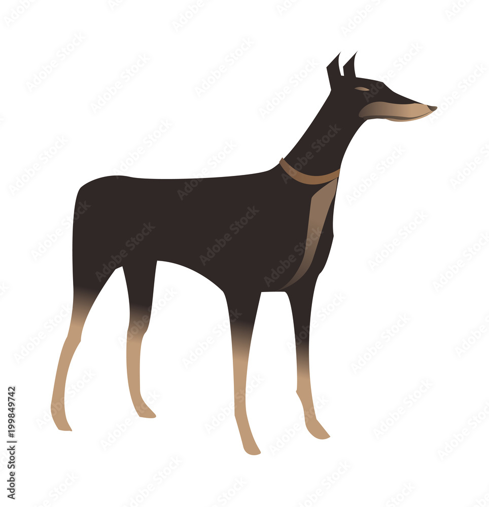 Fototapeta premium vector icon