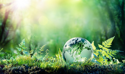 Globe On Moss In Forest - Environmental Concept

