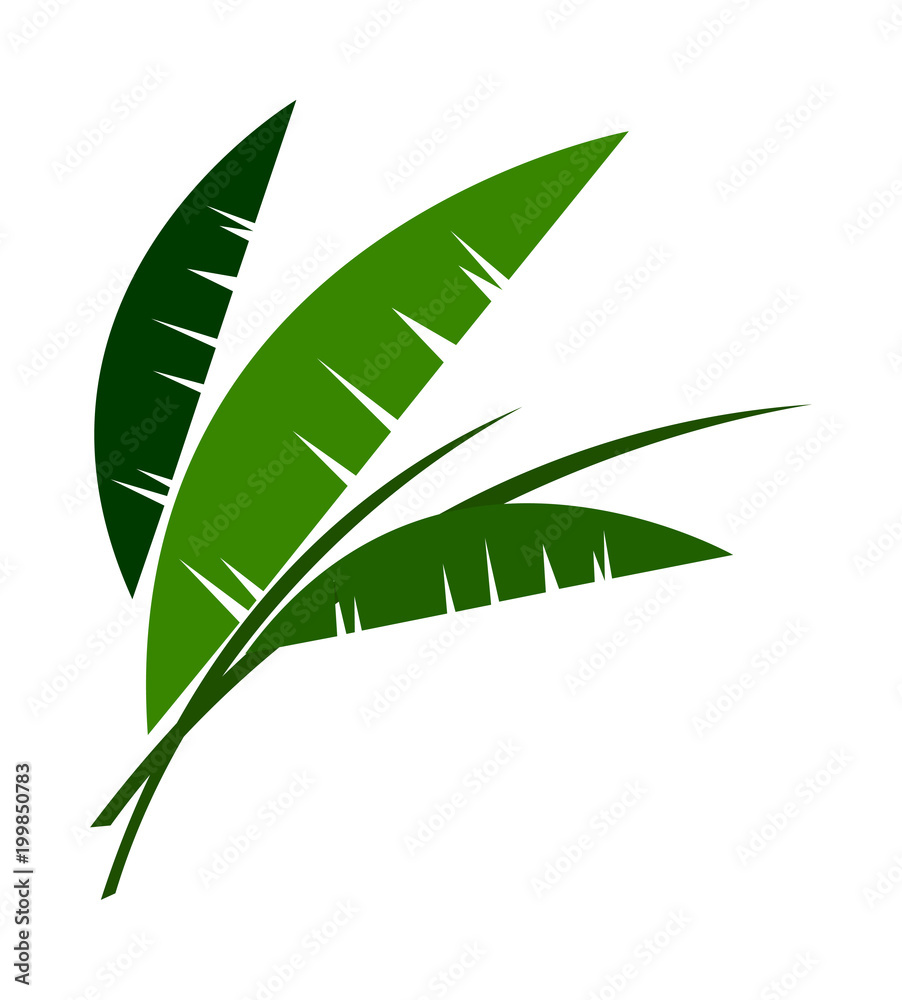 vector icon vector icon