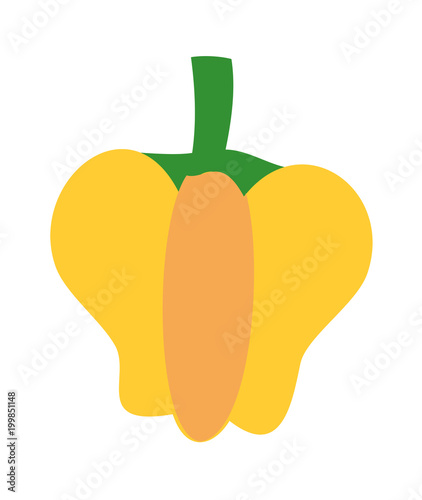 vector icon