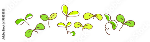  icon sprout