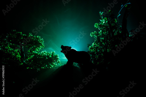 Angry bear behind the fire cloudy sky. The silhouette of a bear in foggy forest dark background photo