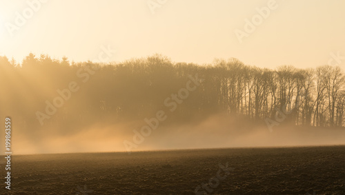 country landscape in the morning in the mist © JPchret