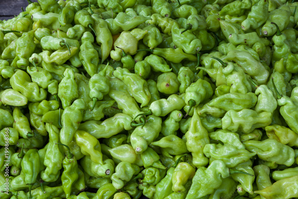 Fresh green peppers for sale in market. Fresh green peppers for sale in market.