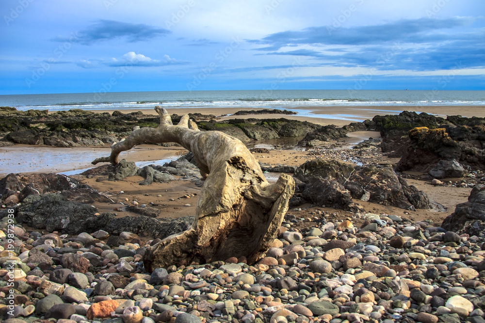 St Cyrus beach. Angus, Aberdeenshire, Scotland, United Kingdom.