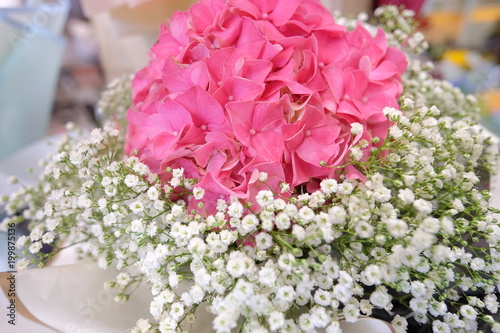  Flower bouquet with colorful Gypsophila and pink Hydrangea macrophylla  flower