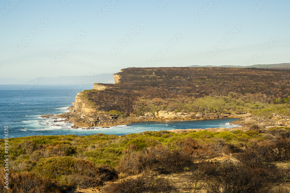 Royal National Park coast in the morning.