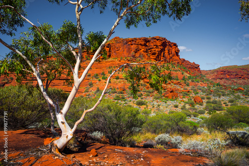 Quadro su tela Aussie Outback