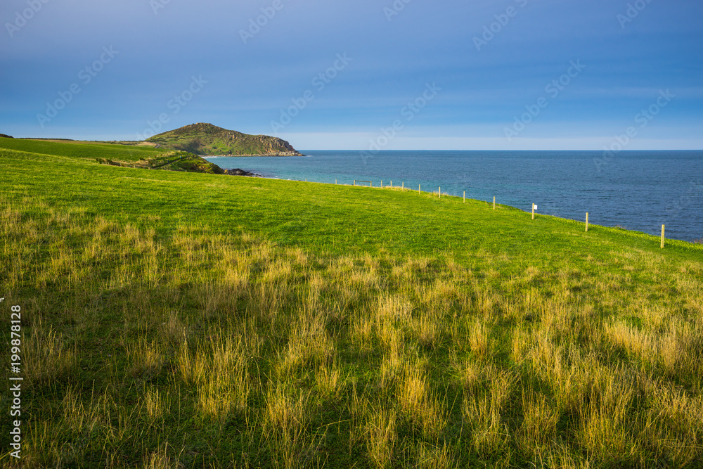 Coastal Farm