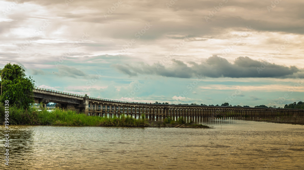 Fototapeta premium long concrete bridge foundation across swamp / peat land in Borneo, Indonesia